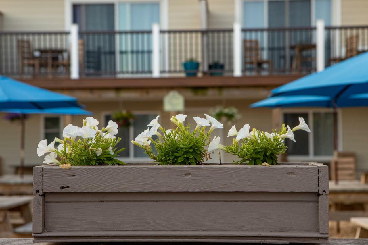 Aqualina Inn Montauk (Adults Only) エクステリア 写真